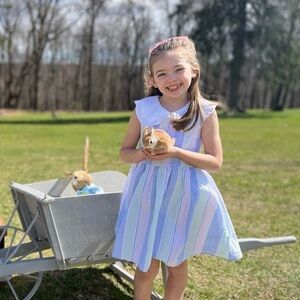 Janie and Jack pastel dress size 7 (worn once)